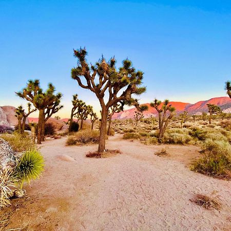 The Joshua Tree House Villa Exterior foto